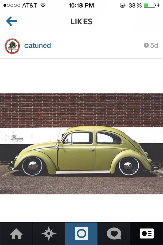 Illustration for article titled Best of Instagram